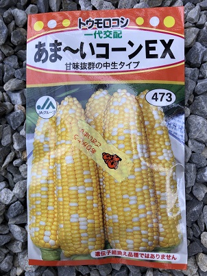 S-Photo-Corn1.jpg